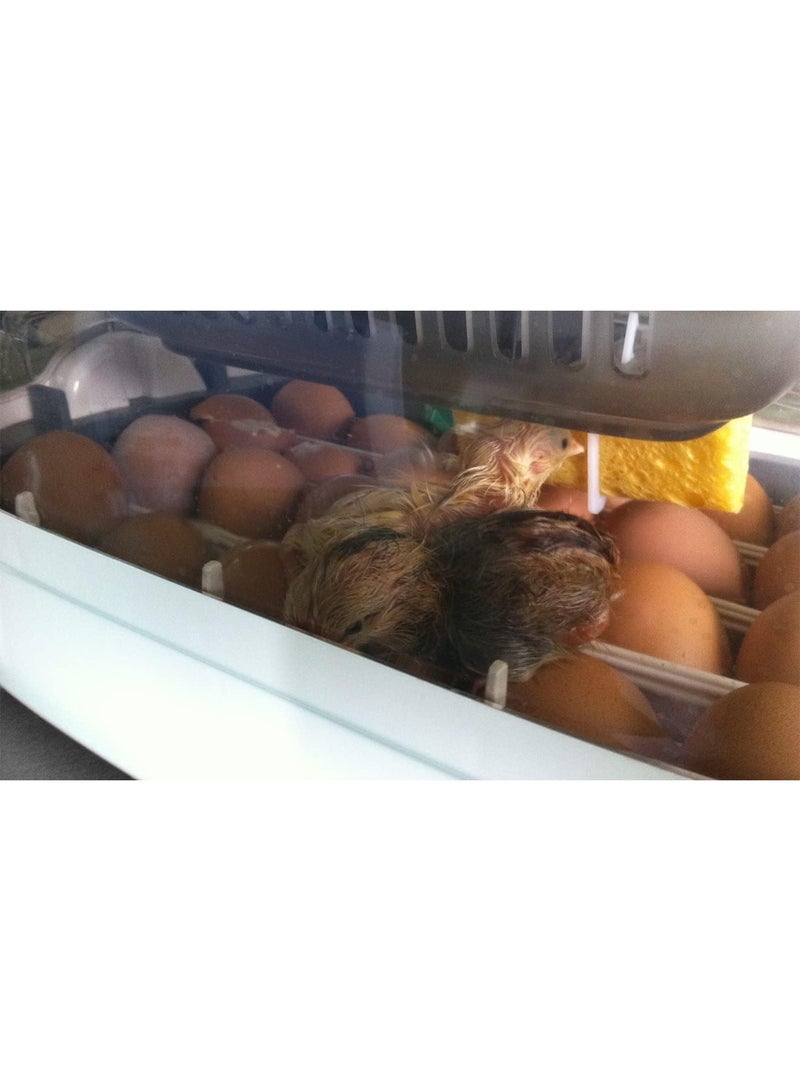 أر كوم حاضنة Rcom KingSuro 20 MAX، ضبط وتحكم تلقائي بدرجة الحرارة، - Image 5